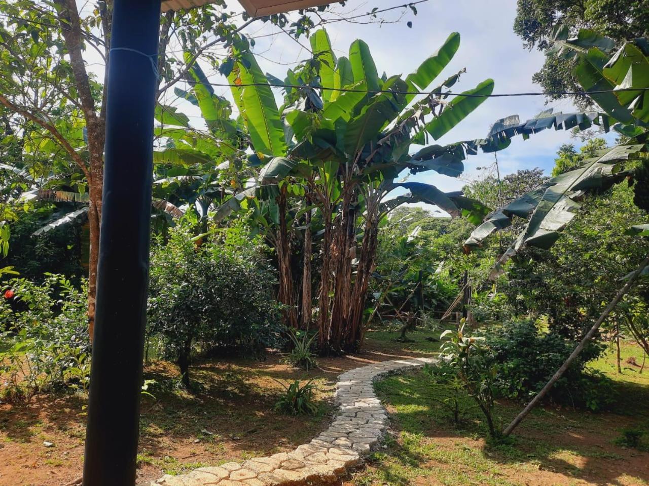 Cabinas Corcovado Green Parrot, Los Planes Drake Дрейк Екстер'єр фото